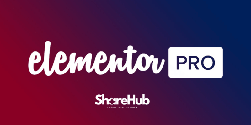 Elementor Pro Plugin Premium WP Share Hub elmentor pro 1
