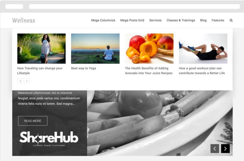 EasyMega Pro Plugin Lifetime WP Share Hub 13
