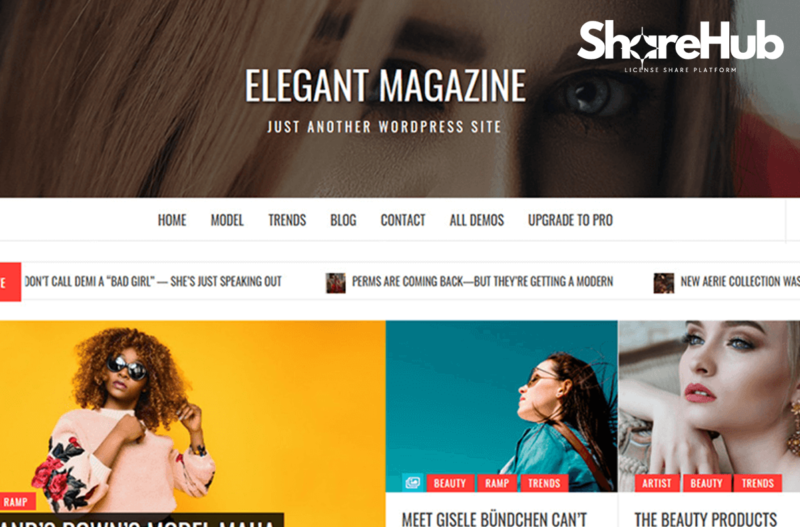 Elegant Magazine Pro Theme Lifetime WP Share Hub 23