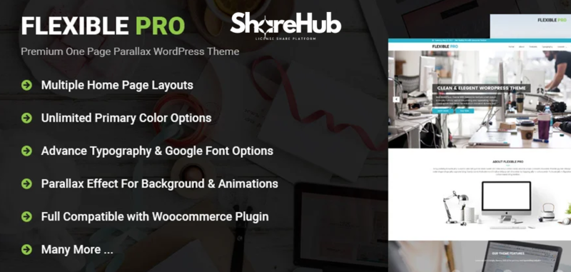 Flexible Pro WordPress Theme WP Share Hub 32