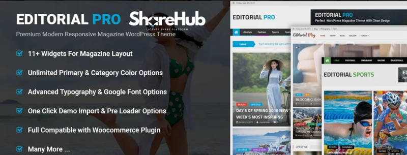 Editorial Pro Theme Lifetime Update WP Share Hub 33