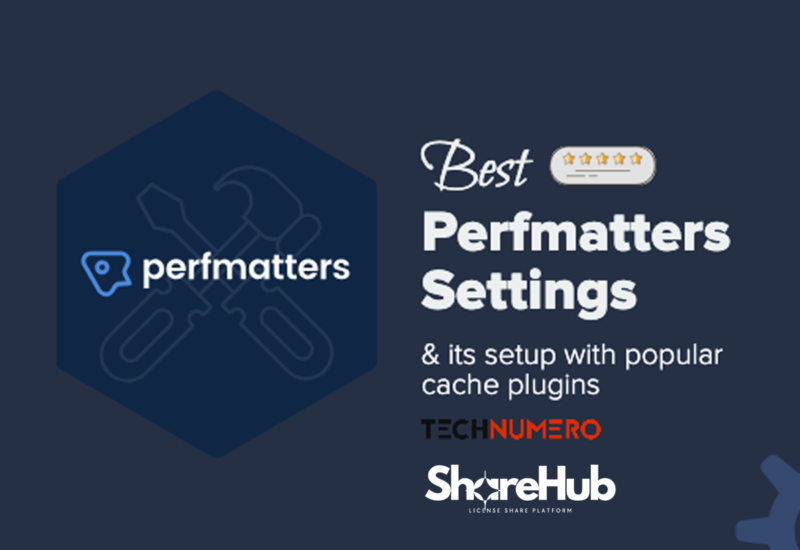 Perfmatters Plugin Install WP Share Hub 35