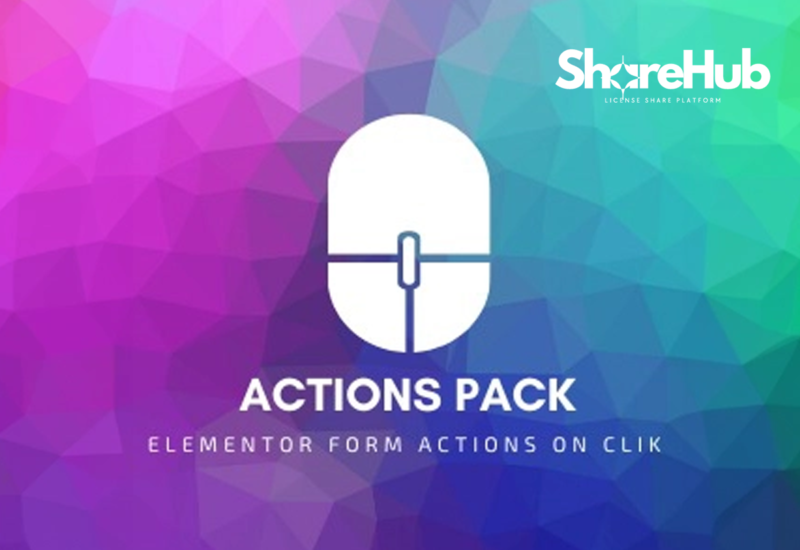 Actions Pack Lifetime WP Share Hub 46