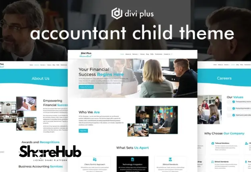 Divi Accounting Child Theme WP Share Hub 5
