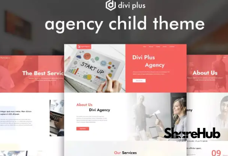Divi Agency Child Theme WP Share Hub 56