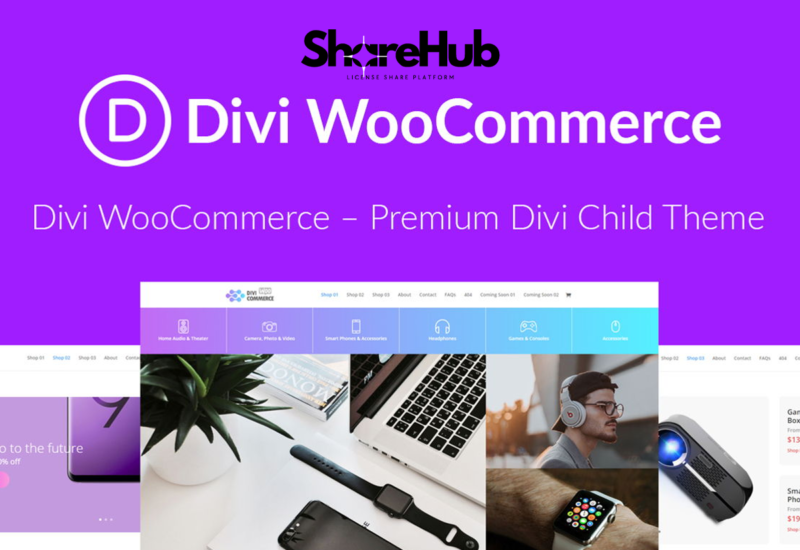 Divi WooCommerce Pro Theme WP Share Hub 6
