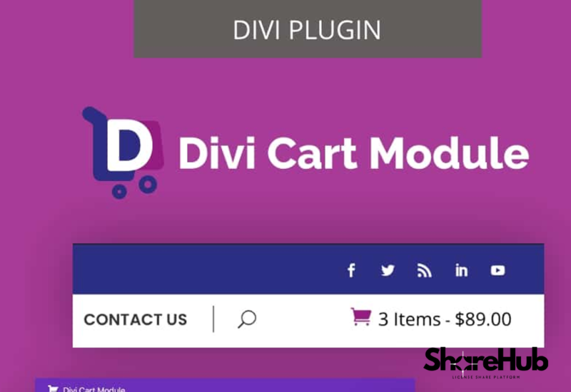 Divi Cart Module Plugin WP Share Hub 63