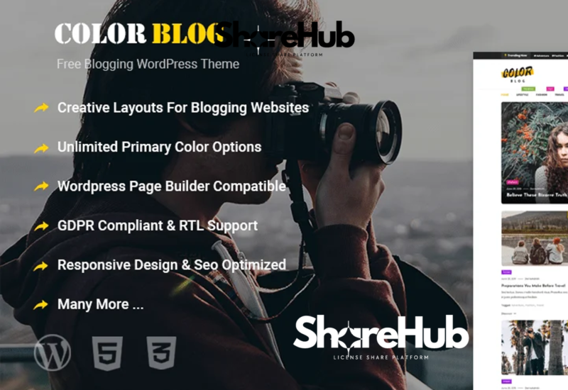 COLOR BLOG Pro Theme Lifetime WP Share Hub 7